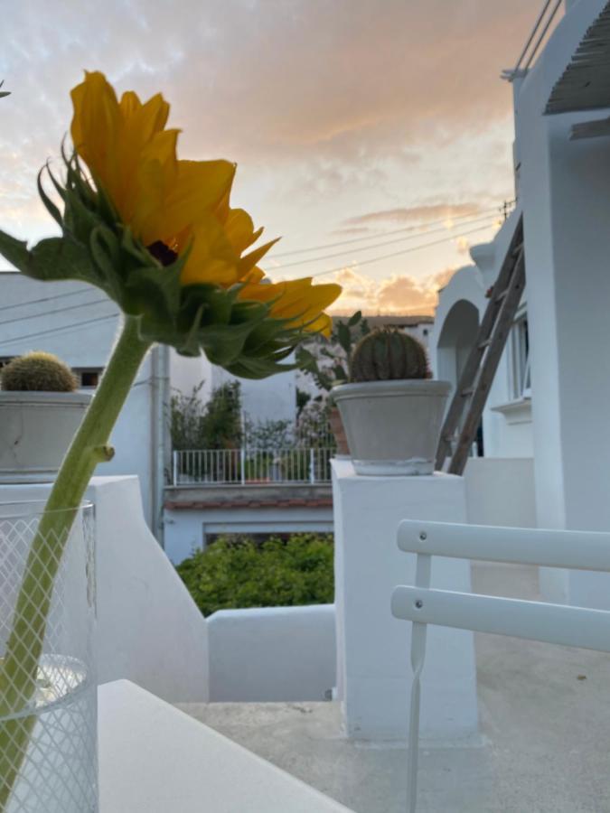 Suites Edivino Design Capri Exterior photo