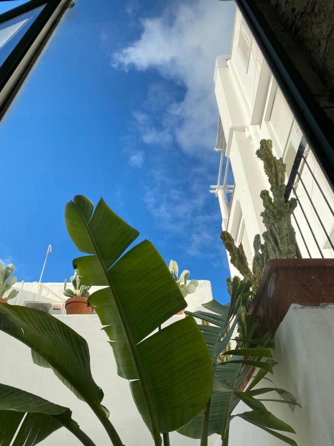 Suites Edivino Design Capri Exterior photo